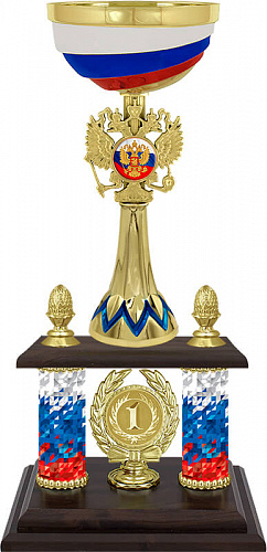 6100-390-101 Кубок Влад 1 место