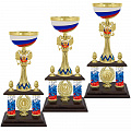 6100-390-101 Кубок Влад 1 место