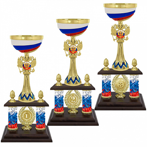 6100-390-101 Кубок Влад 1 место