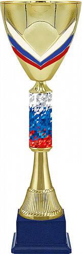 4263-420-132 Кубок Армада