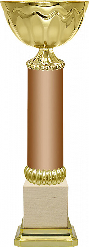 4612-270-300 Кубок Кай (под бронзу)