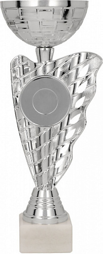 Кубок 8317C (26,5см) D-100