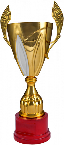 Кубок 3102F (38см) D-120