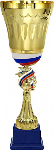 4223-440-100 Кубок Чемпион