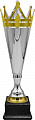 4216-480-210 Кубок Царевич