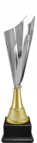 6676-410-200 Кубок Флойд