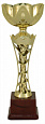 Кубок KB 8024 B (H-31 см, D-120 мм)